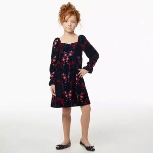 Red Rose Blue Velvet Dress